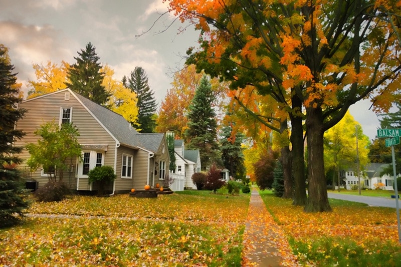 A row of homes with autumn trees out front | Fall HVAC Maintenance | Keep Your Systems Running | Happy Valley