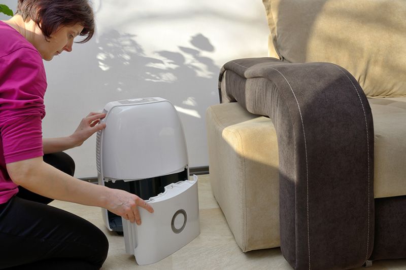 Why You Need Whole-House Humidity Control. Image shows woman emptying a dehumidifier.